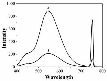 A method for the rapid detection of biogenic amines in food by surface-enhanced Raman scattering