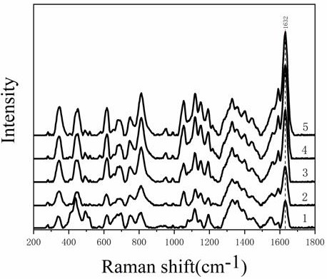 A method for the rapid detection of biogenic amines in food by surface-enhanced Raman scattering