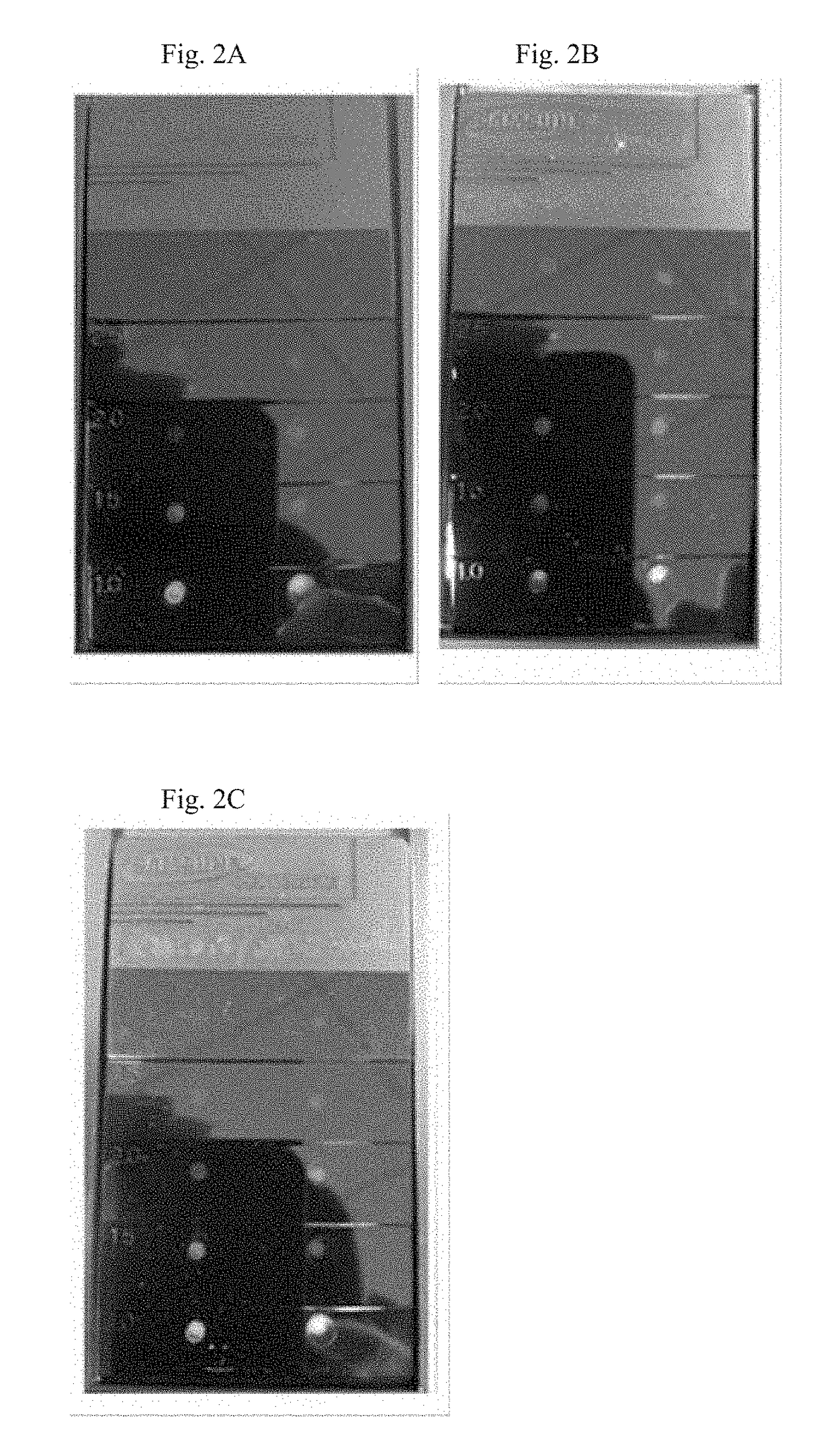 Colored Resin Composition Exhibiting Pleochroism, and Molded Plastics Manufactured Using Same