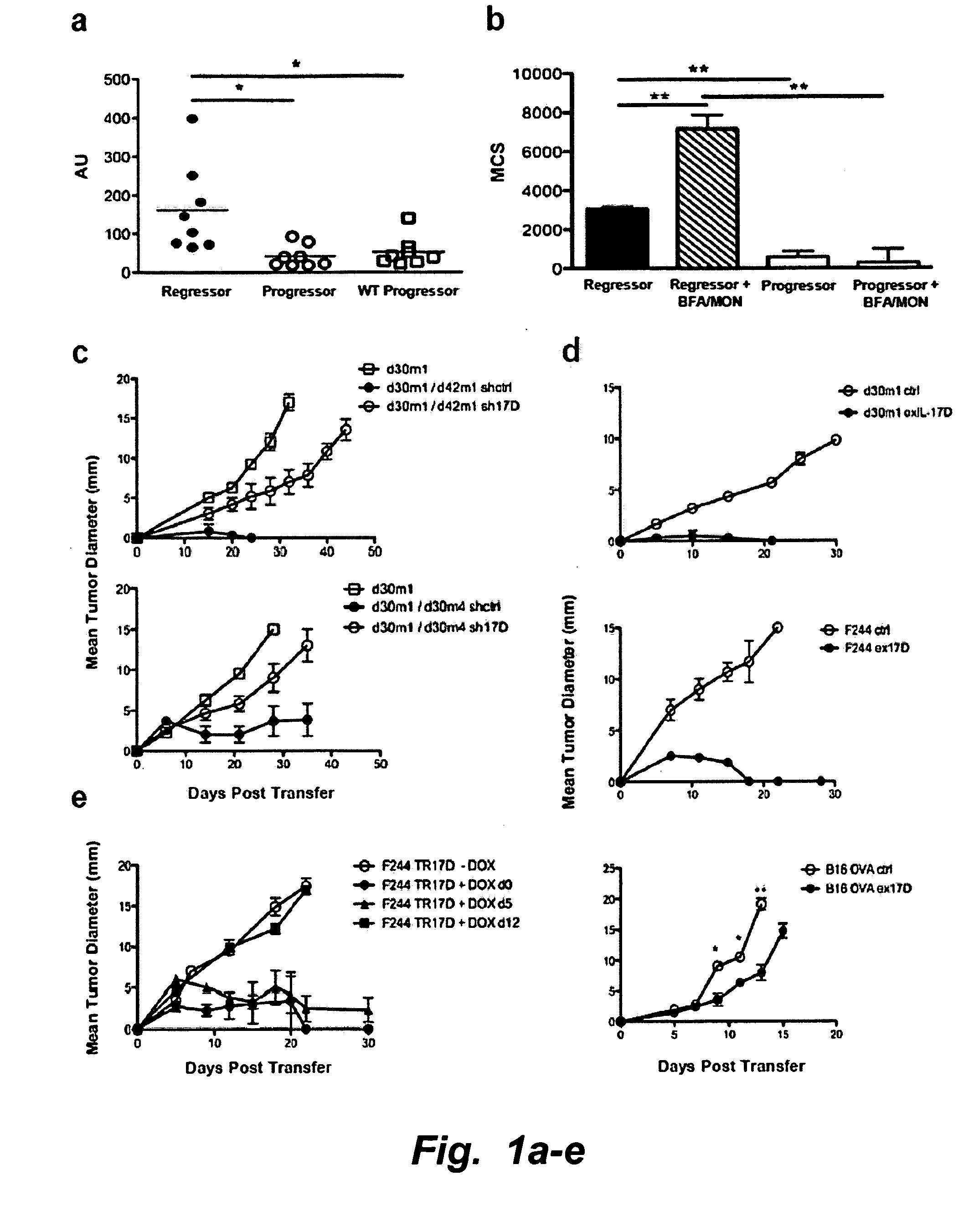 Use of il-17d for the treatment and prevention of cancers