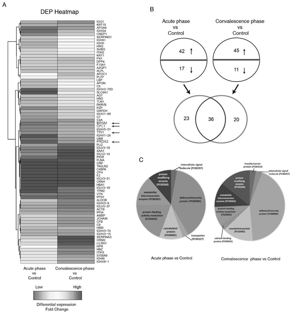 Protein marker TPI1 related to respiratory syncytial virus and detection kit