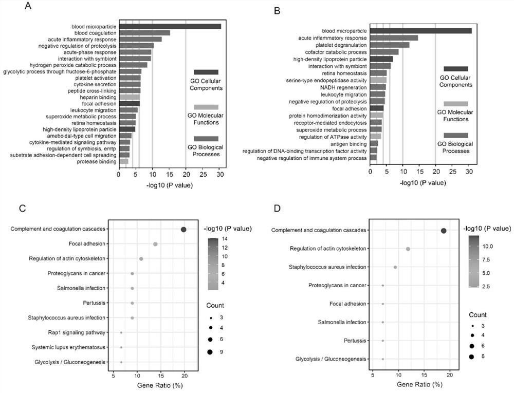 Protein marker TPI1 related to respiratory syncytial virus and detection kit