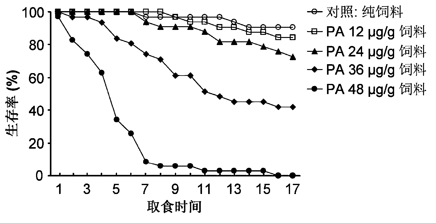 Chrysoperla sinica larvae artificial feed and determination method for toxic effects of insecticidal compounds on Chrysoperla sinica larvae