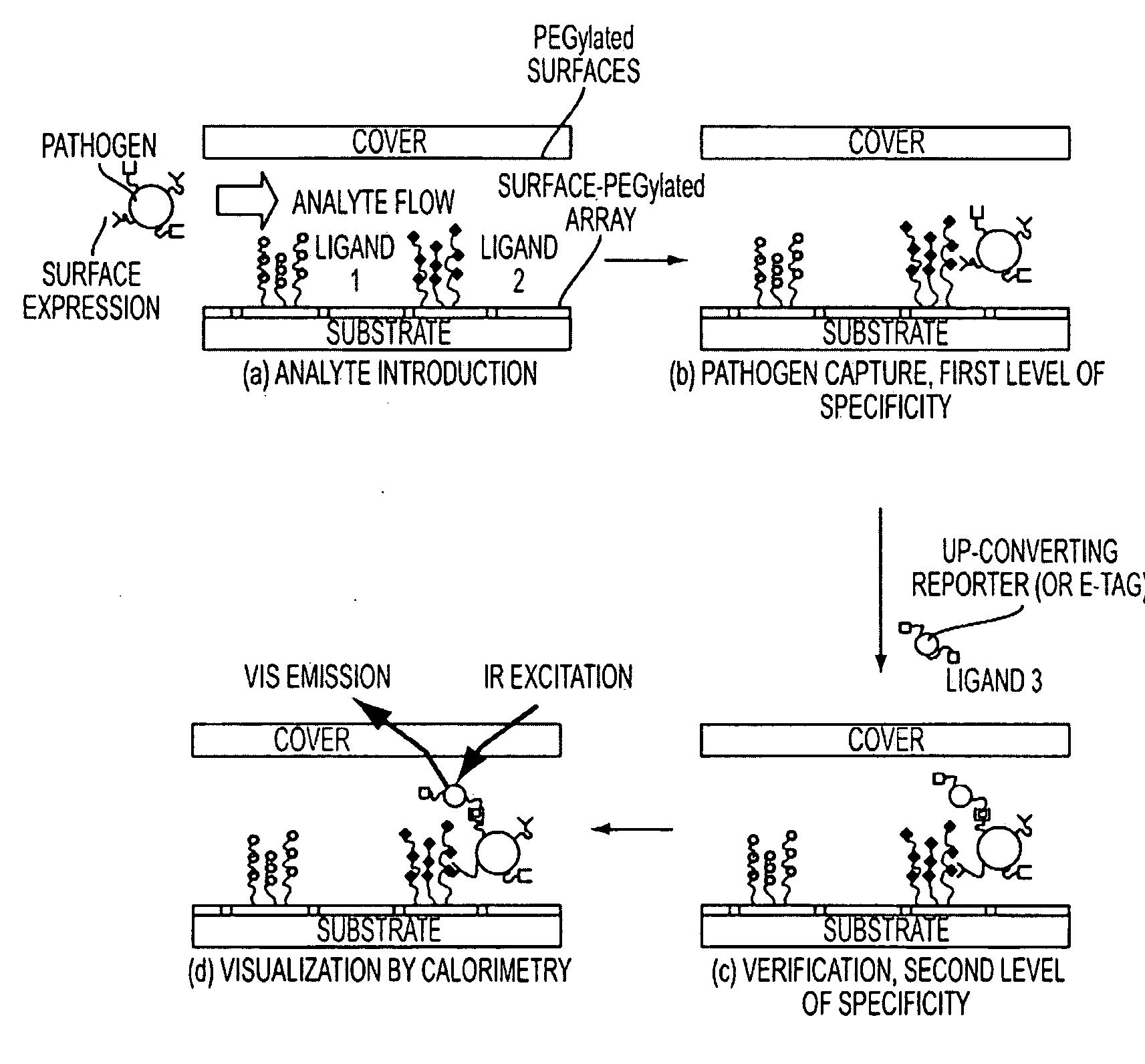 Devices and Methods for the Detection of Analytes