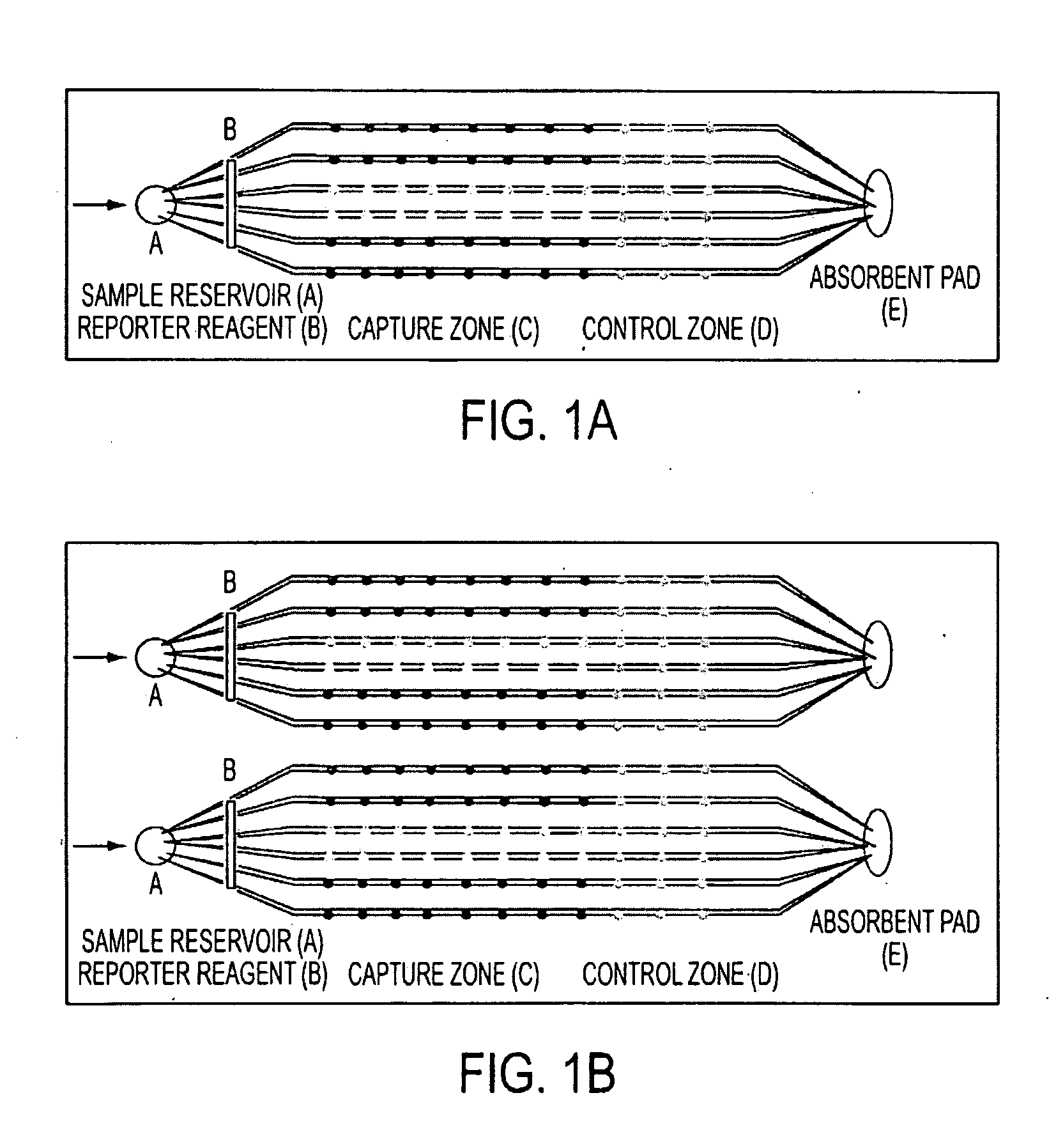 Devices and Methods for the Detection of Analytes