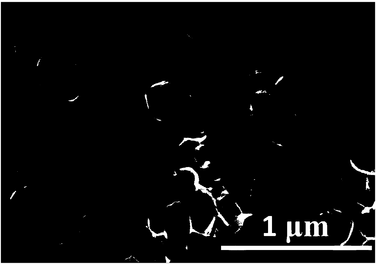 Nitrogen/sulfur-doped three-dimensional carbon nano-network supporting molybdenum disulfide nano-material and preparation of the nano-material