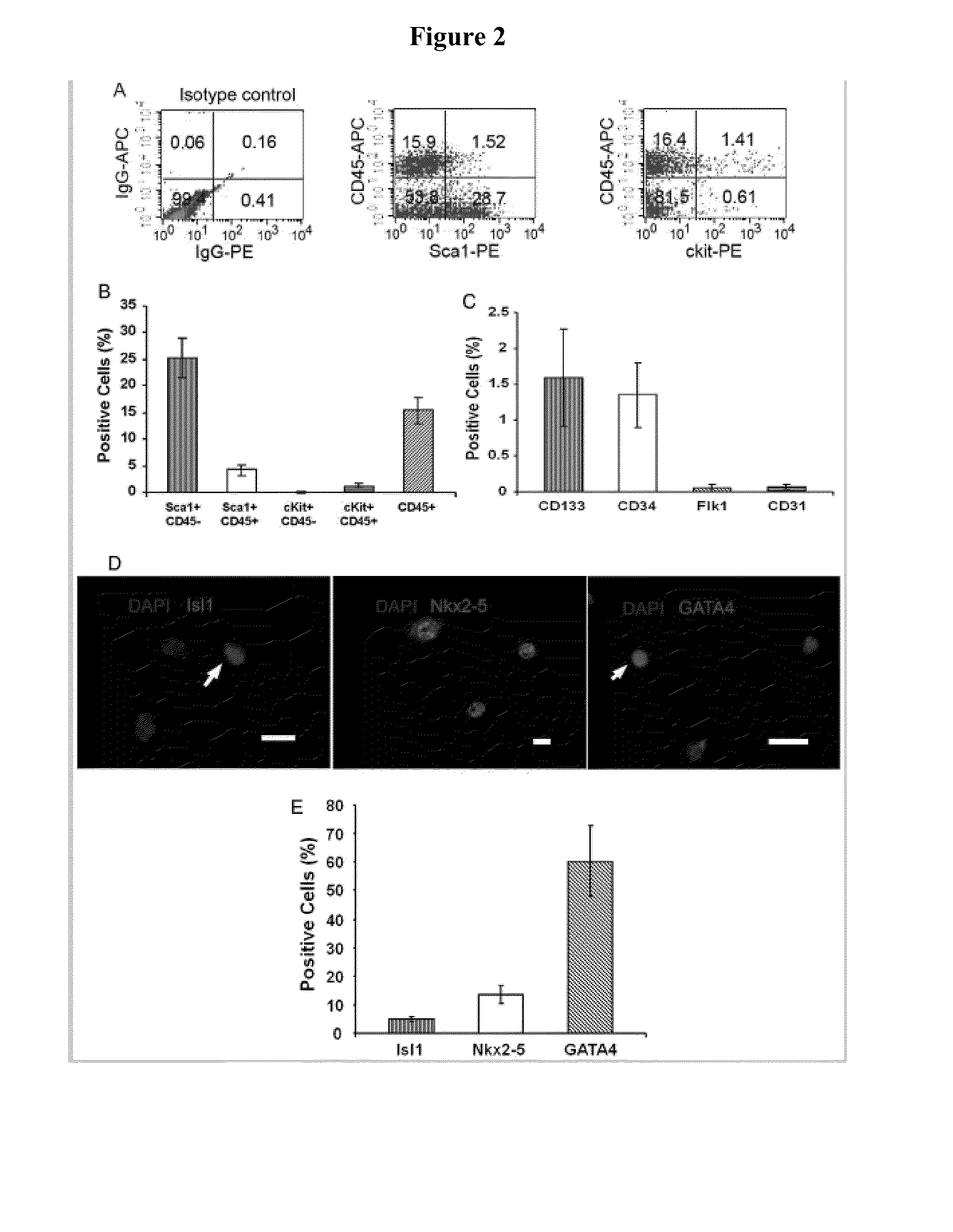 Cardiosphere Derived Cell Population and Methods of Use