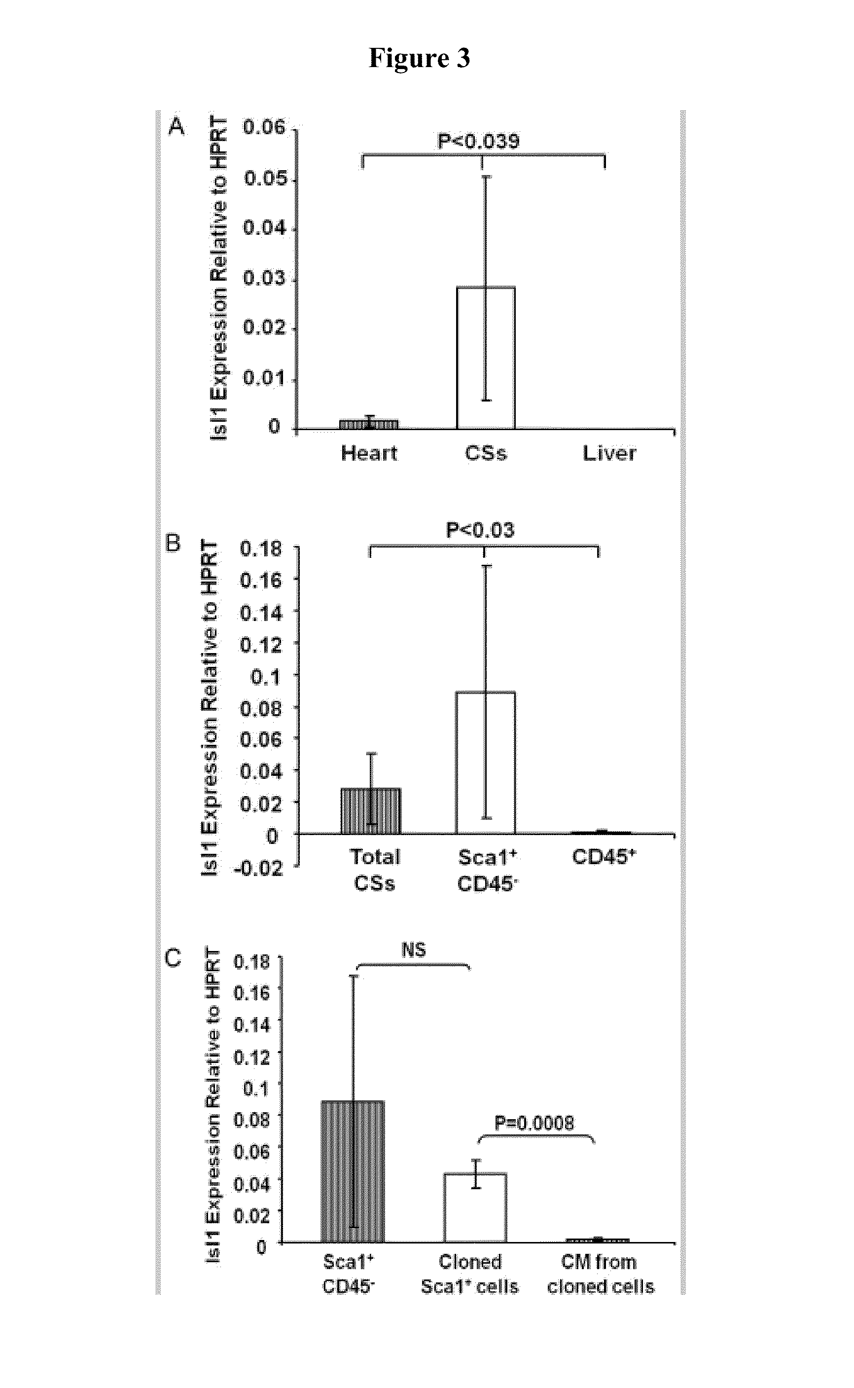 Cardiosphere Derived Cell Population and Methods of Use