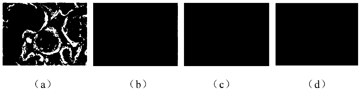 Positive electrode and electrochemical device and electronic device containing positive electrode