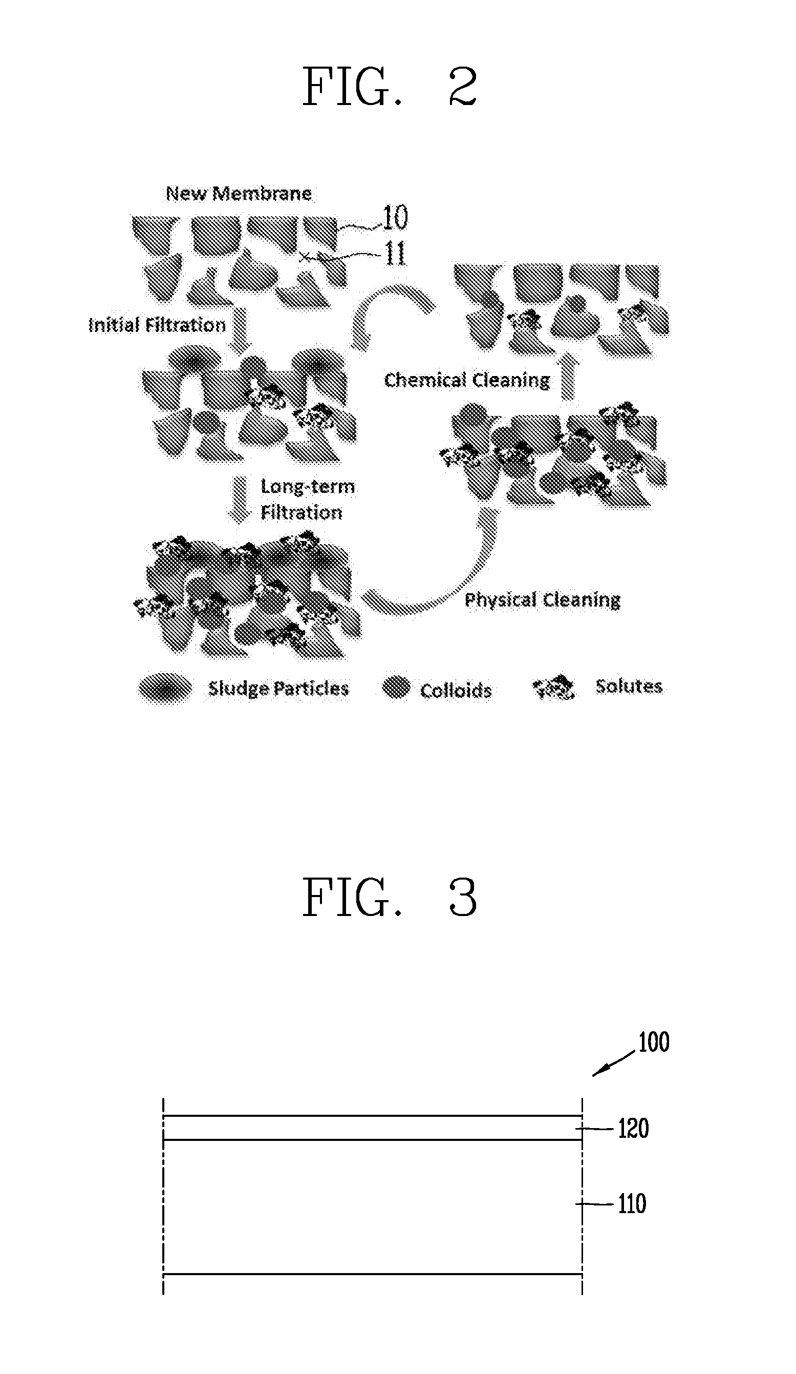 Surface-modified separation membrane and method for modifying surface of separation membrane