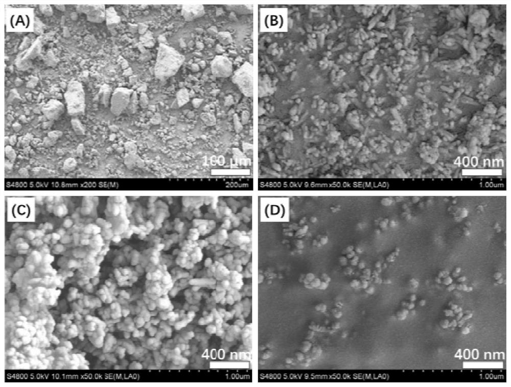 Calcium phosphate biological ceramic with superfine uniform crystal grains and preparation method of calcium phosphate biological ceramic