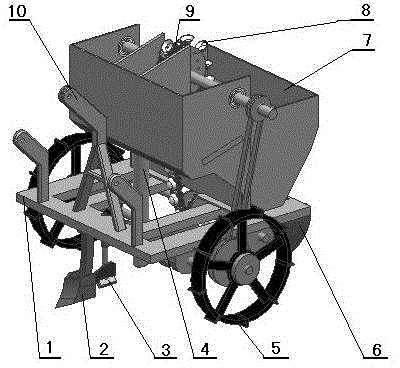 Konjak seeder