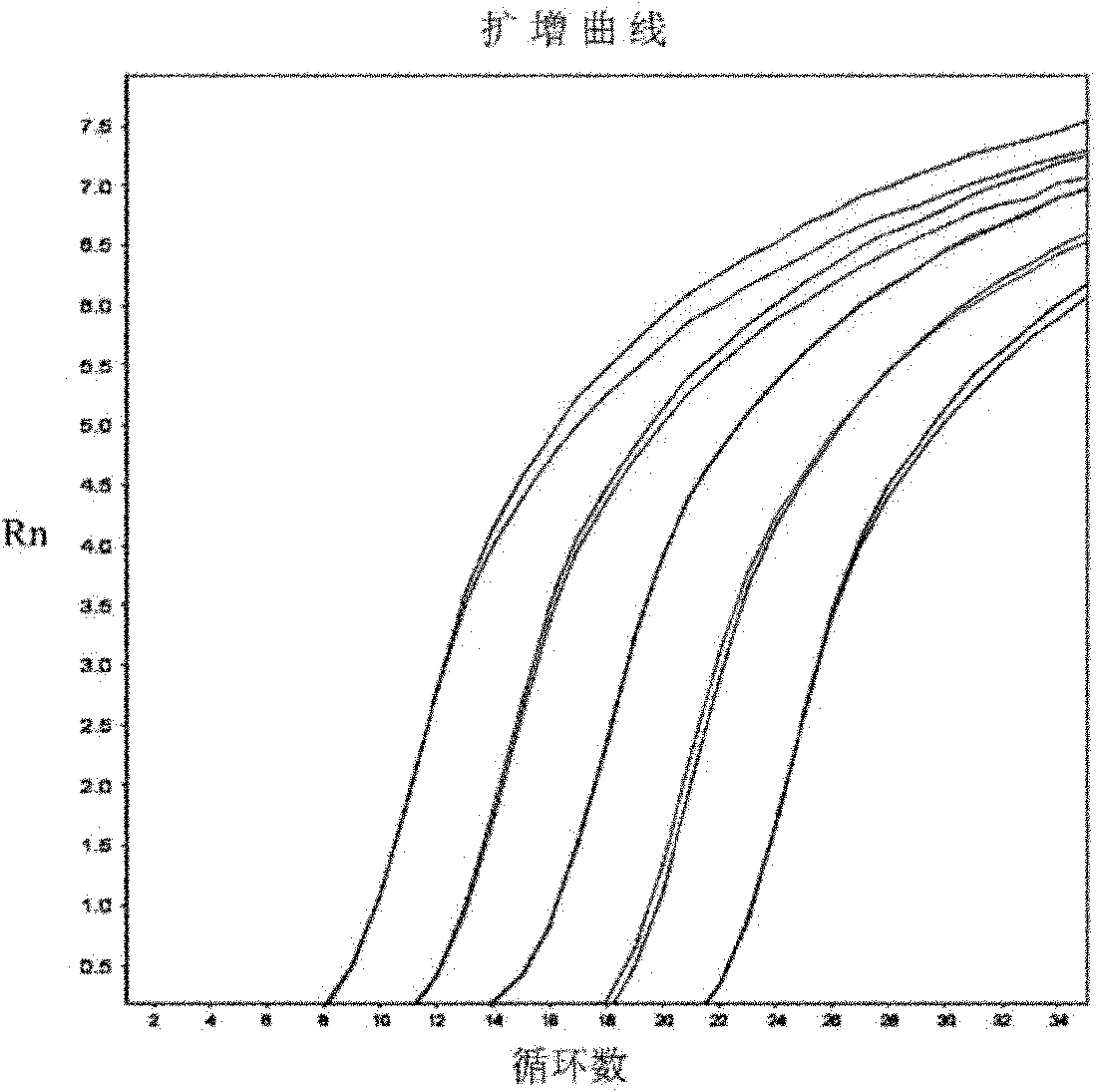 Primers used for amplifying nucleotide segment of nucleocapsid protein gene of H5N1 influenza virus and detection method