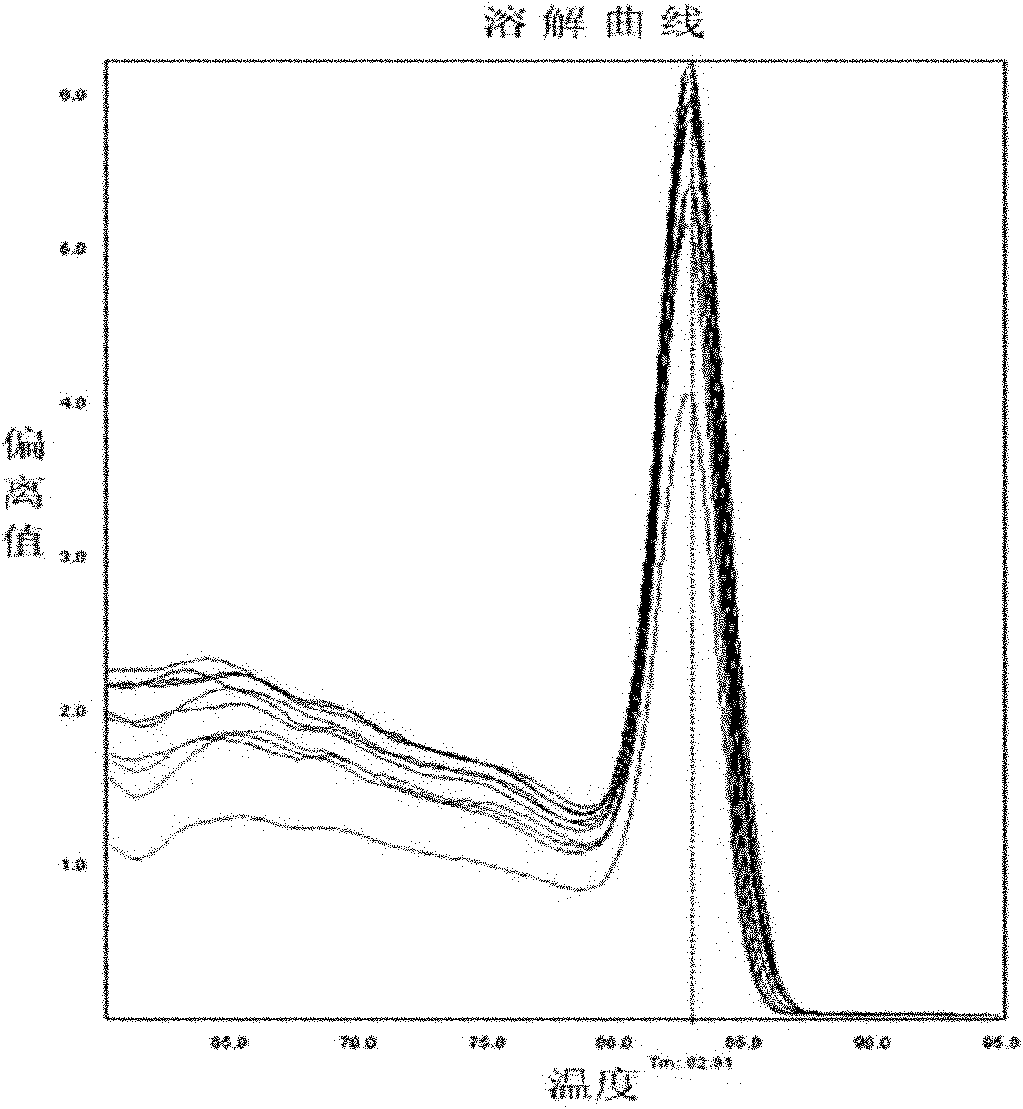 Primers used for amplifying nucleotide segment of nucleocapsid protein gene of H5N1 influenza virus and detection method