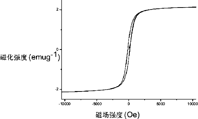 Magnetic nano catalyst and preparation method thereof