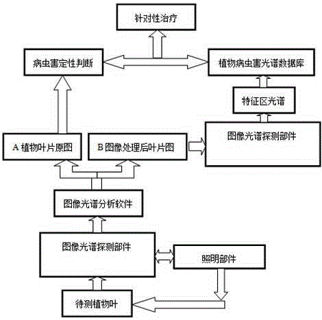 Plant leaves health monitoring system based on visual image spectrum detection technology