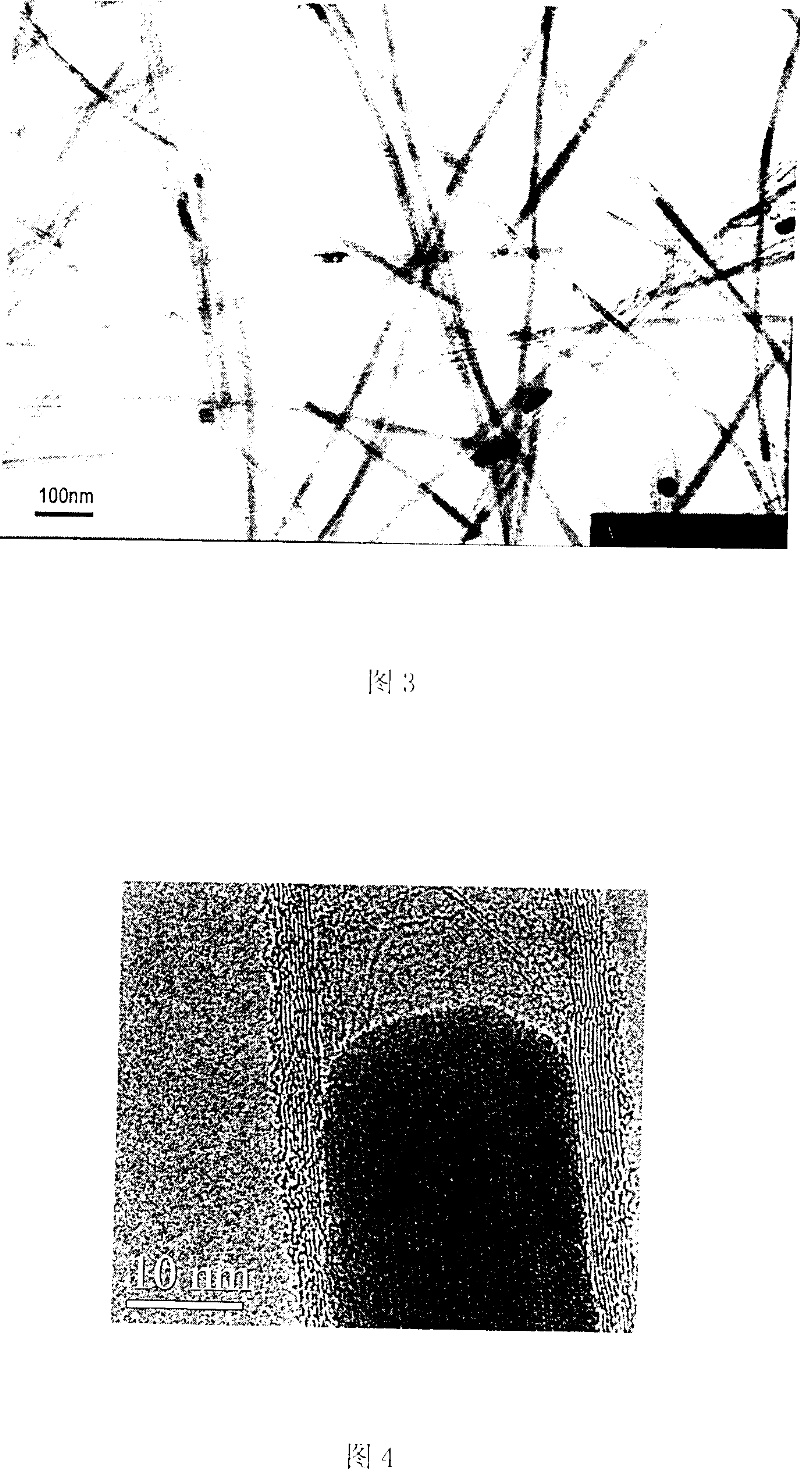 Method of in-situ filling symbiotic iron nanometer wire on thin wall nanometer pipe