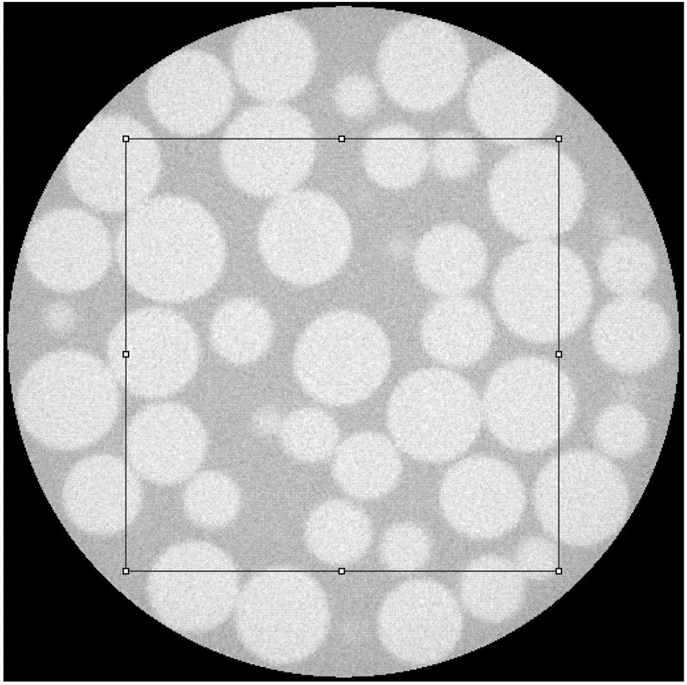 Method for extracting natural gas hydrate reservoir pore skeletal structure