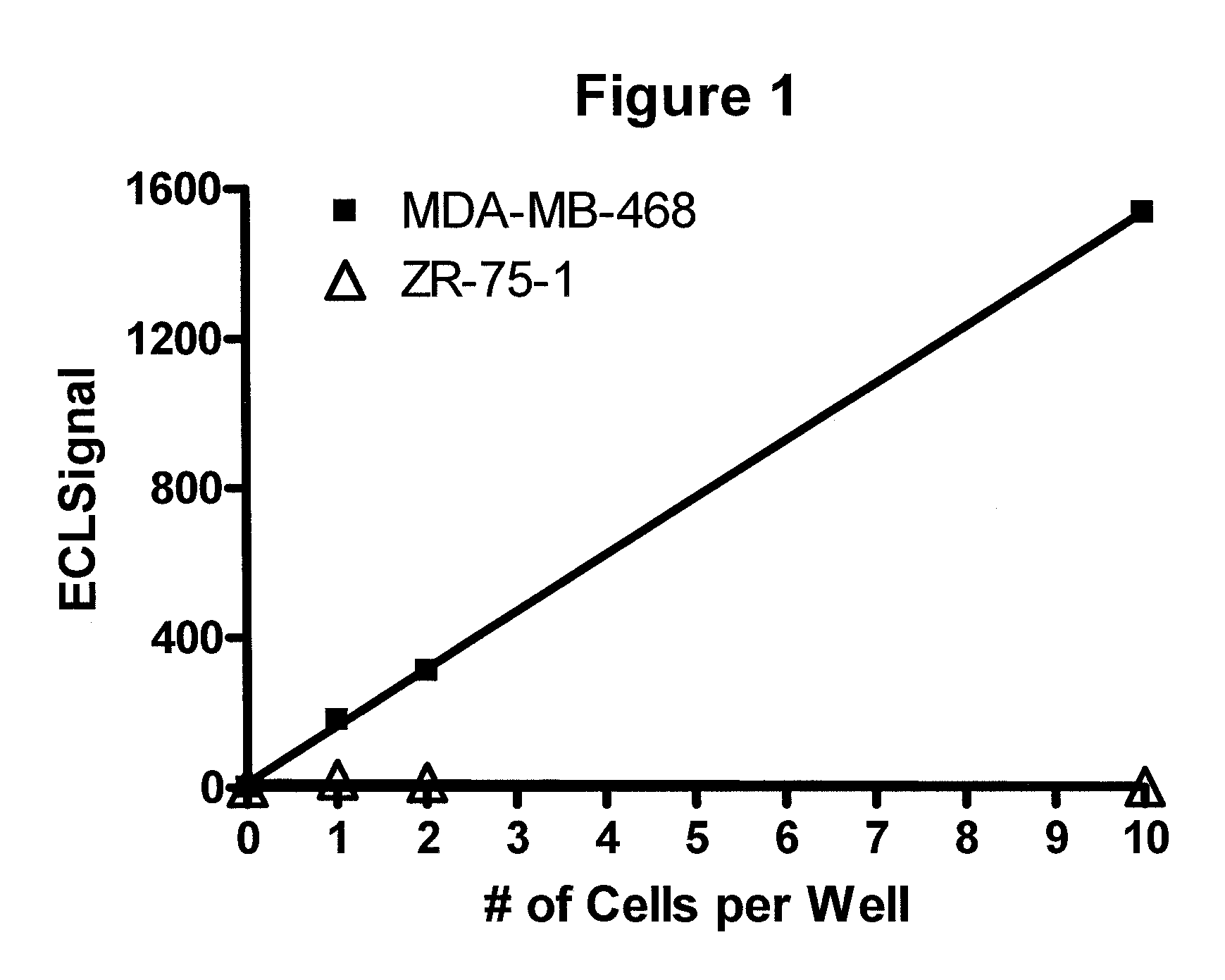 Detection of proteins from circulating neoplastic cells
