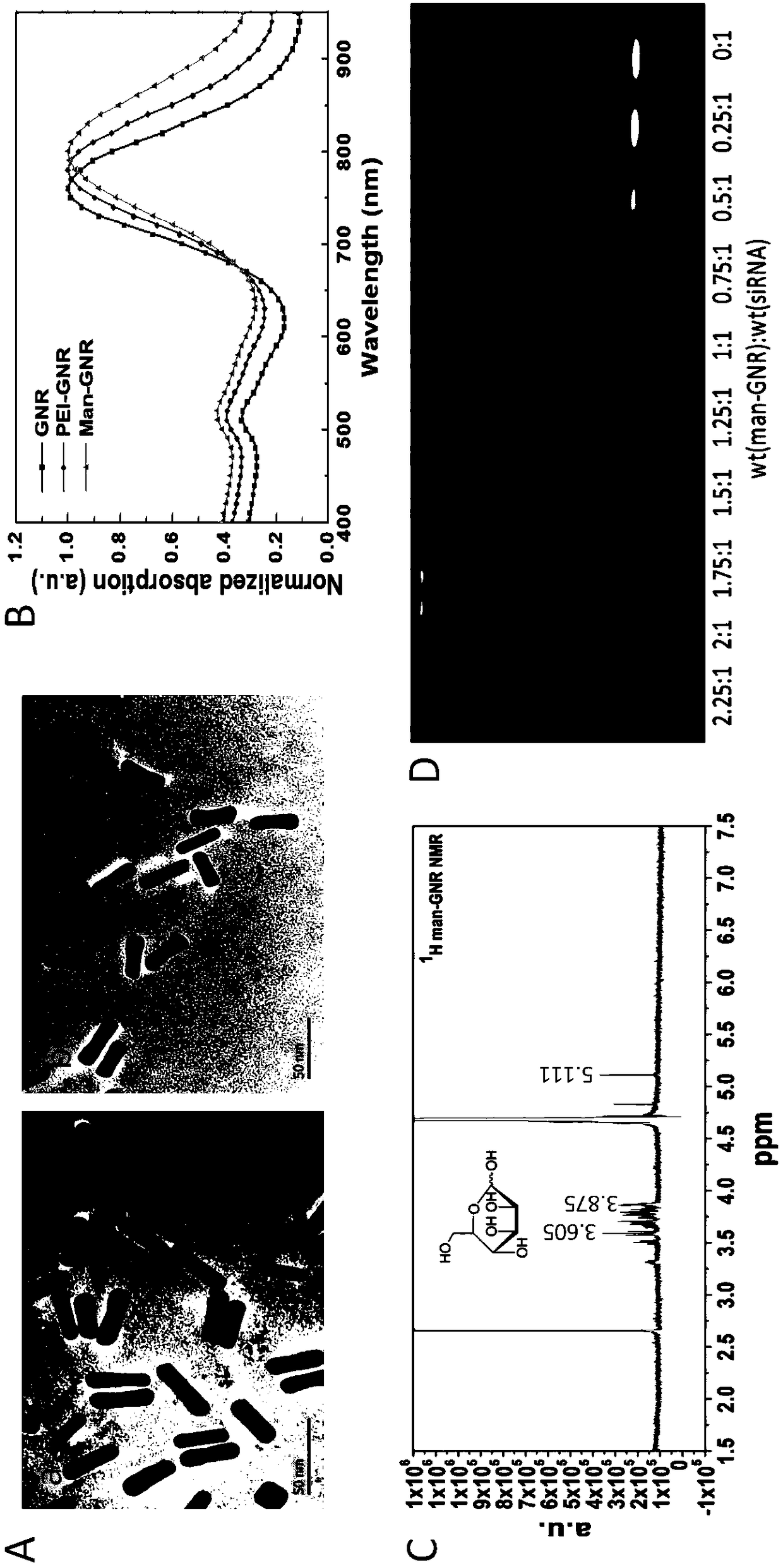 DC negative regulation factor targeting silencing and DC mobilized amplification combined tumor therapy method