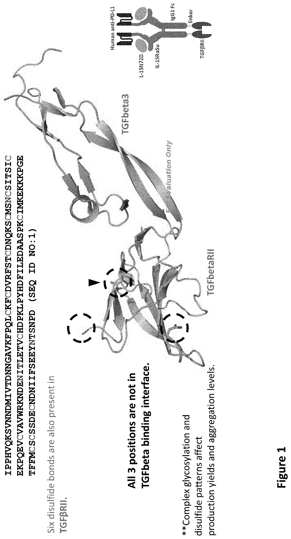 Modified N-810 and Methods Therefor