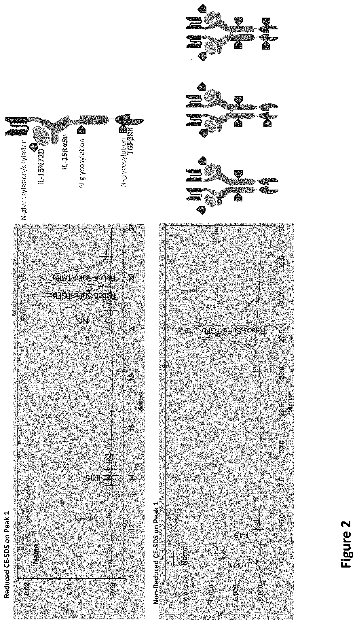 Modified N-810 and Methods Therefor