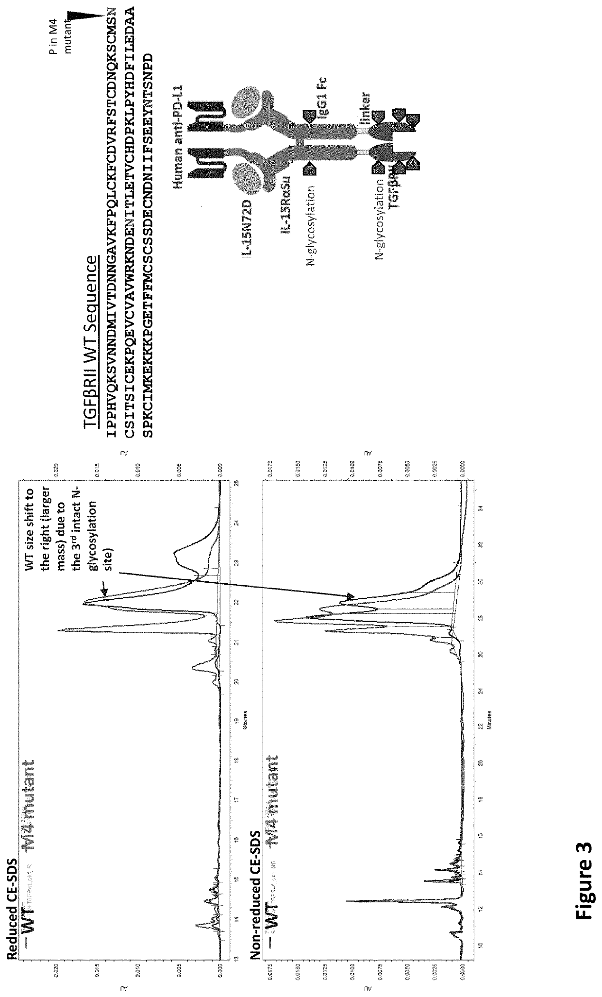 Modified N-810 and Methods Therefor