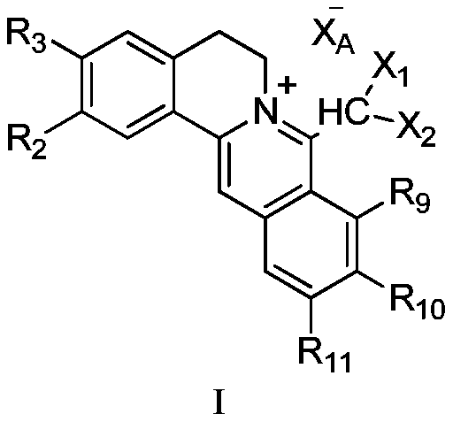 Hydrophilic berberine type derivative connected with R10 and R11 and application of hydrophilic berberine type derivative to preparation of drugs