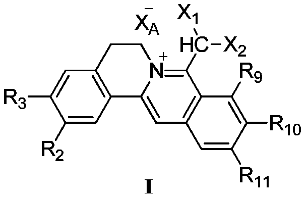 Hydrophilic berberine type derivative connected with R10 and R11 and application of hydrophilic berberine type derivative to preparation of drugs