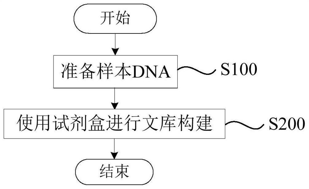 Kit and method for constructing DNA library