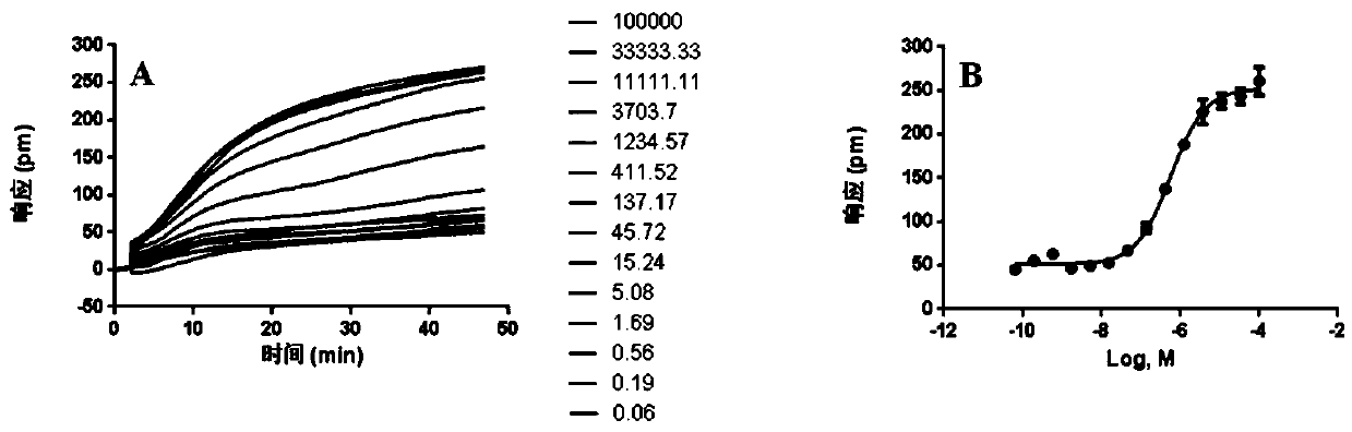 Cell screening model for label-free histamine receptor H2