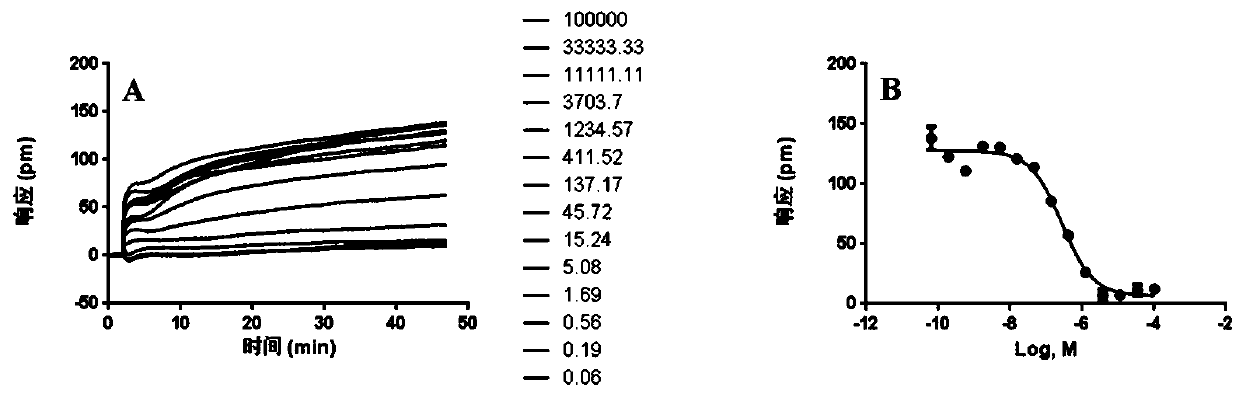 Cell screening model for label-free histamine receptor H2