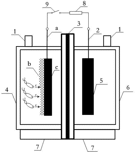 Method and device for storing bioelectrical energy by virtue of capacitive anode