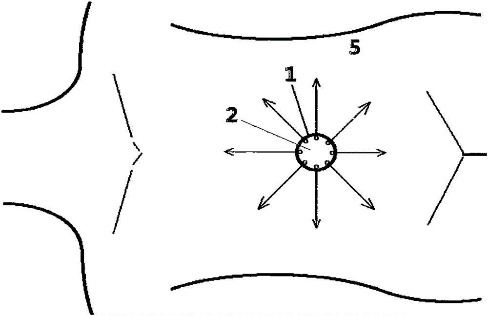 Physical therapy apparatus for umbilical region