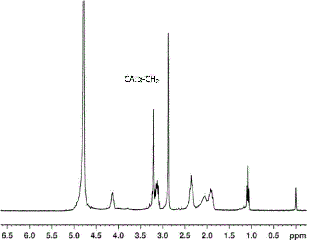 Water-soluble polyglutamic acid-cisplatin compound and preparation method and application thereof