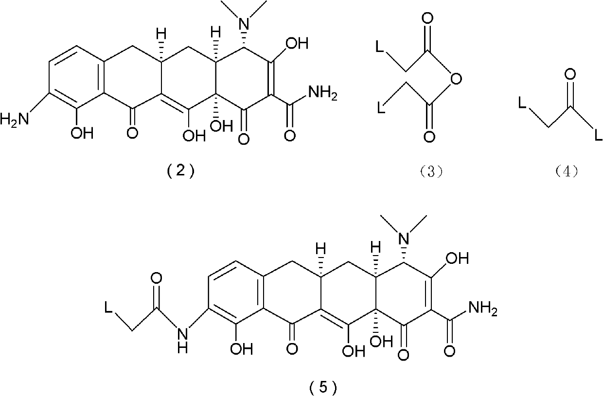 Method for preparing tigecycline intermediate and salt thereof