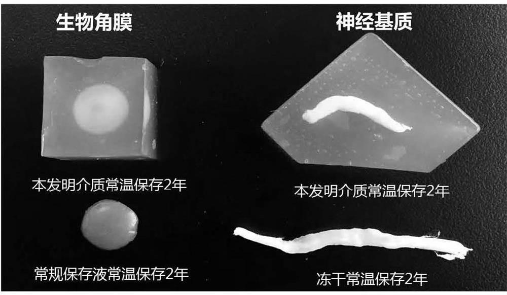 A kind of biological material semi-solid storage medium and its application