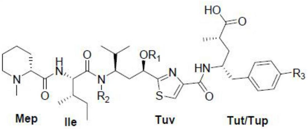 A kind of preparation method of natural active polypeptide tubulysin U