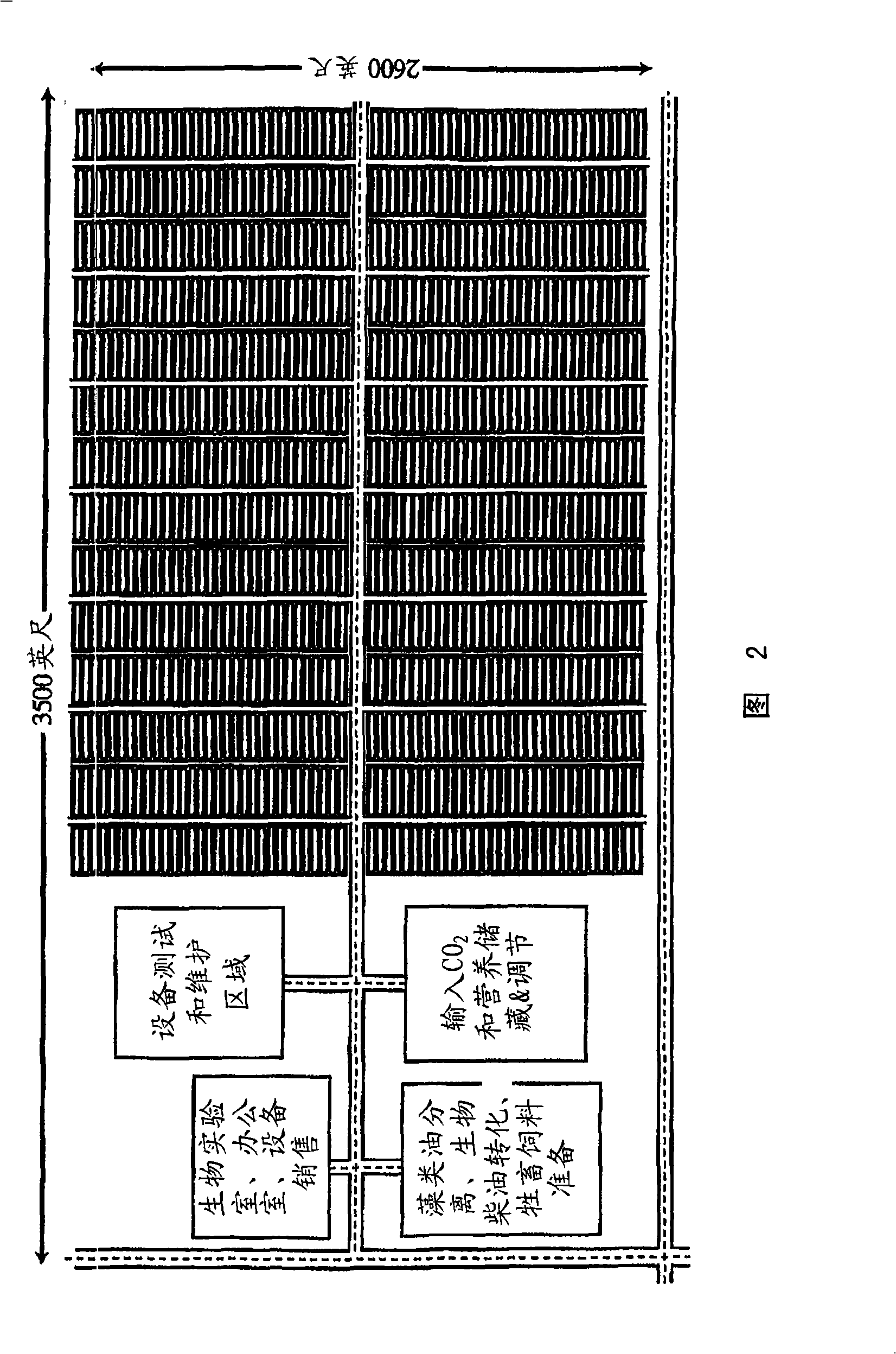 Method, apparatus and system for biodiesel production from algae