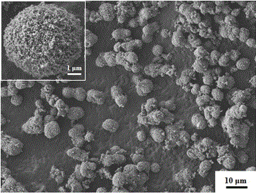 A kind of ionothermal synthesis method of microspherical porous basic magnesium borate and magnesium borate nano superstructure