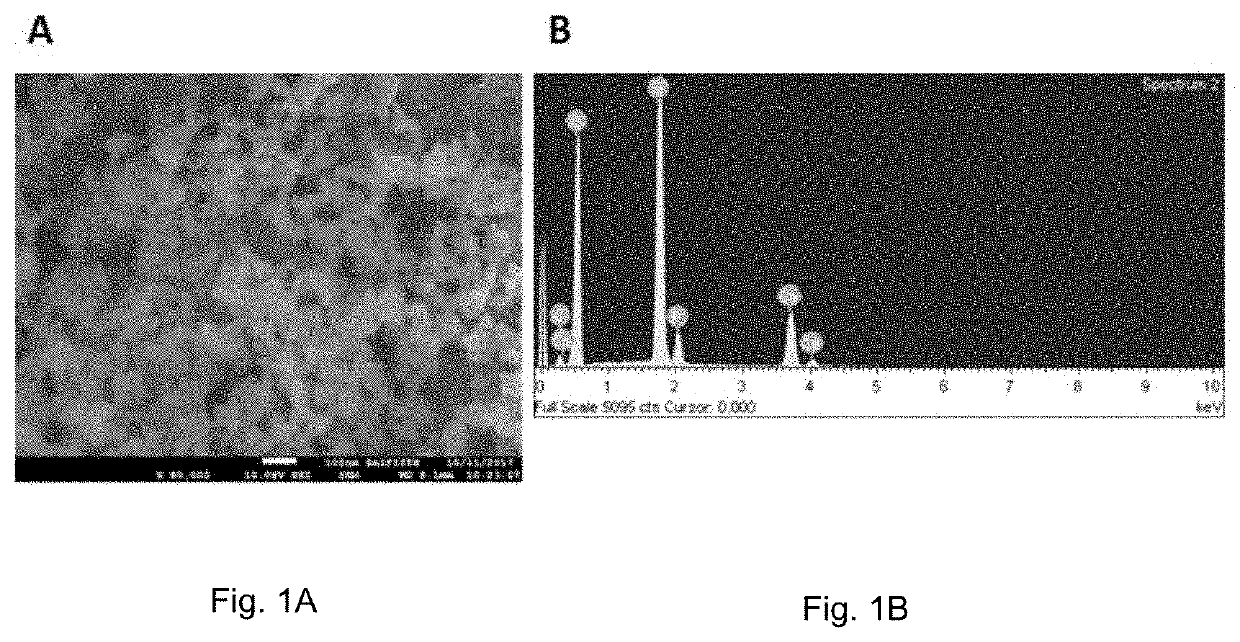 Nanocomposite formulation for use in hemostasis