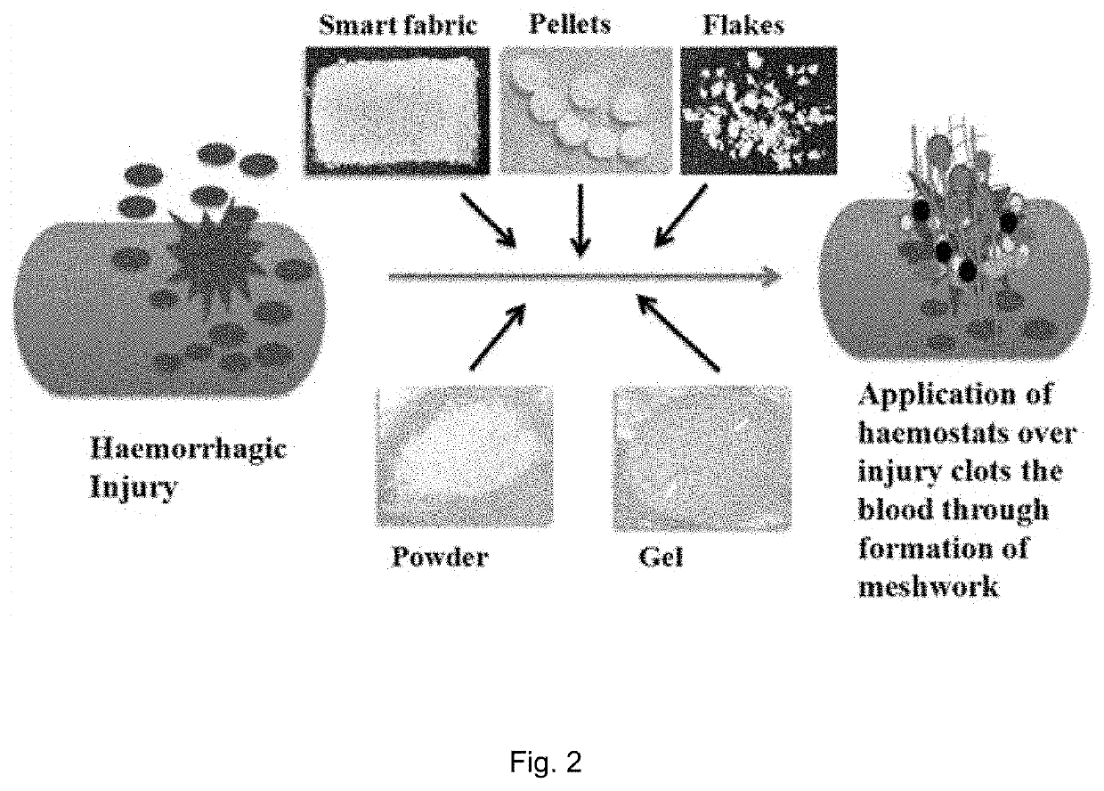 Nanocomposite formulation for use in hemostasis