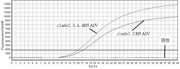 Real-time fluorescent quantitative PCR (Polymerase Chain Reaction) primers for distinguishing clade 7.2 type H5 AIV (H5 Subtype Avian Influenza Virus) from clade 2.3.4.4 type H5 AIV