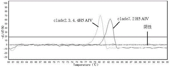 Real-time fluorescent quantitative PCR (Polymerase Chain Reaction) primers for distinguishing clade 7.2 type H5 AIV (H5 Subtype Avian Influenza Virus) from clade 2.3.4.4 type H5 AIV