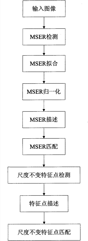 Large viewing angle image matching method capable of combining region matching and point matching
