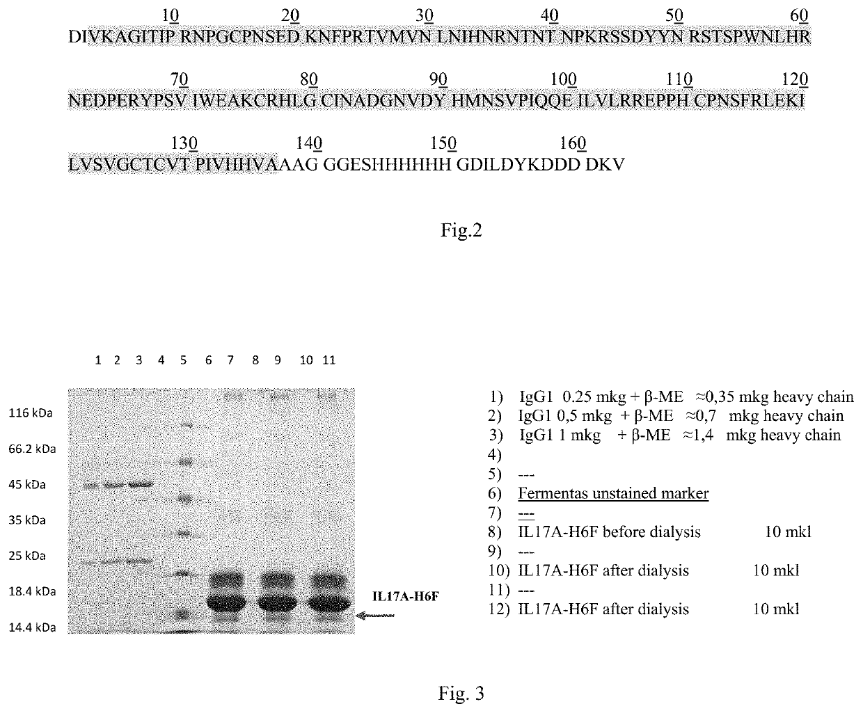 Trispecific antibodies against IL-17A, IL-17F and other pro-inflammatory molecule