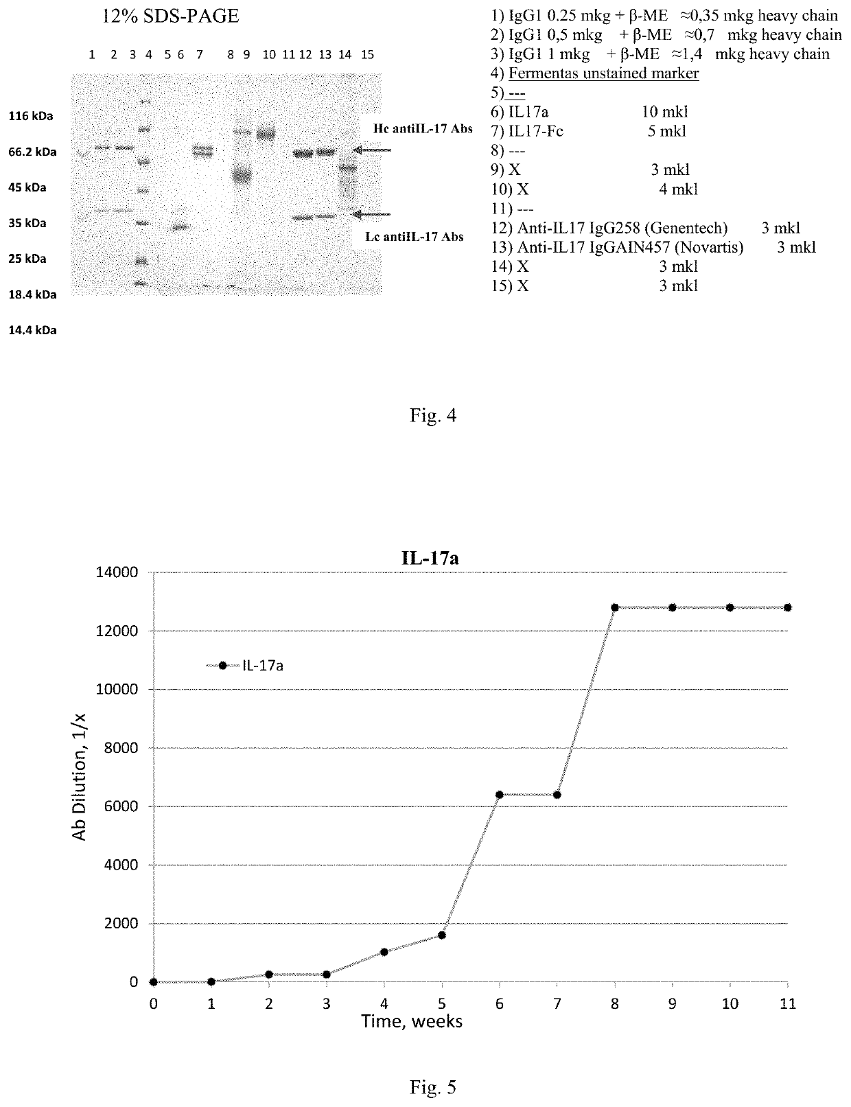 Trispecific antibodies against IL-17A, IL-17F and other pro-inflammatory molecule