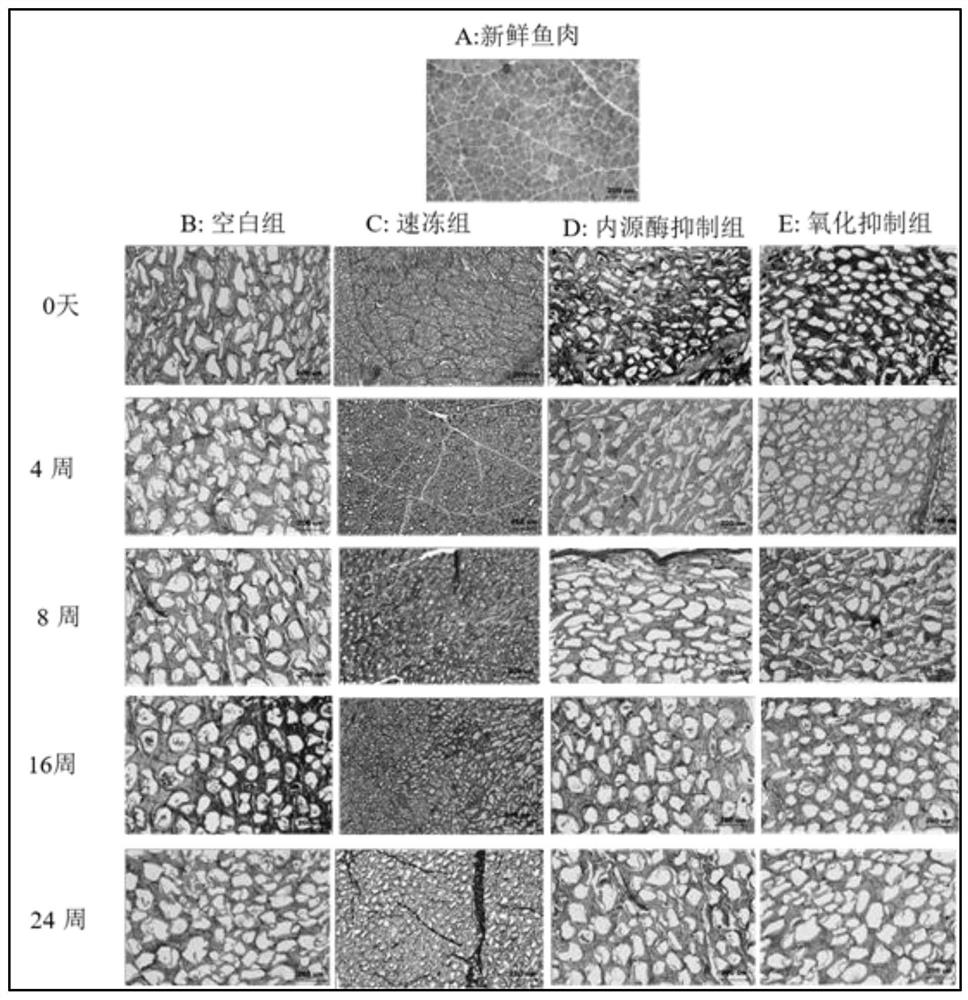 A model analysis method and its application to distinguish the factors affecting the quality deterioration of frozen freshwater fish meat