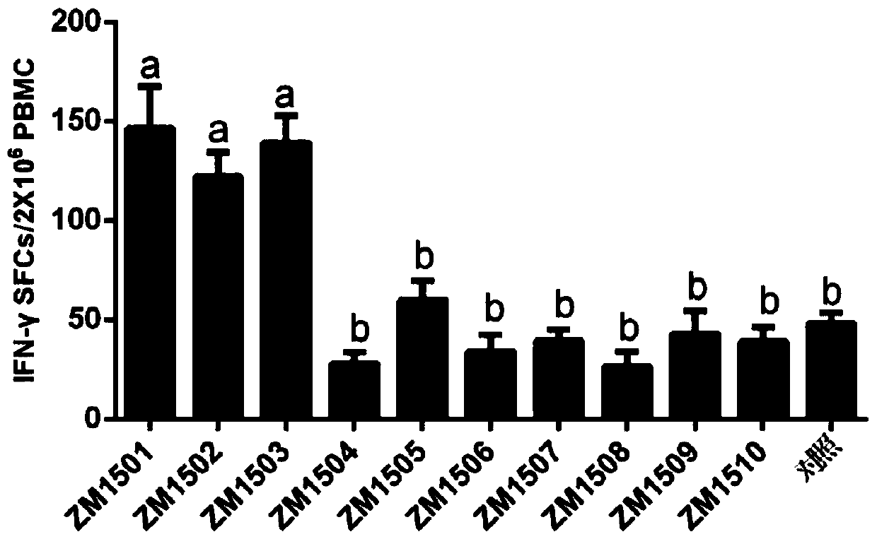 A kind of immunopotentiator and its application