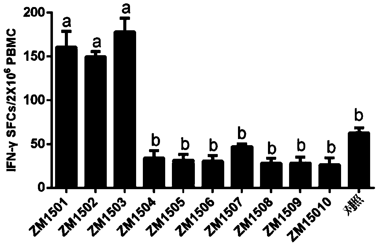 A kind of immunopotentiator and its application